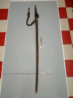 藏品(槍)的圖片